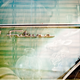 Illustration for article titled Shooting Challenge: Double Exposure, Gallery